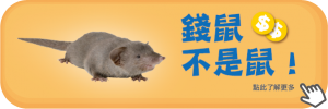 老鼠防治插圖_05-錢鼠連結按鈕