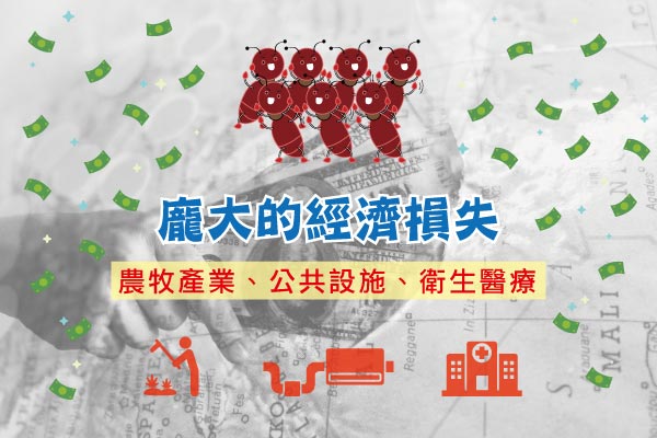 入侵紅火蟻 經濟損失