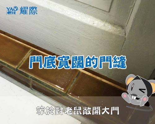 家住高樓層 為何有老鼠 耀際病媒防治科技