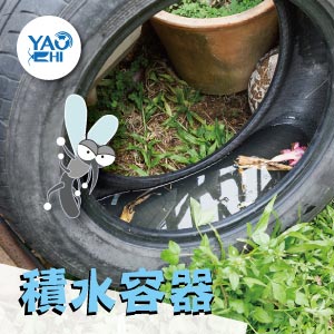 冬天蚊子要如何消滅01積水容器
