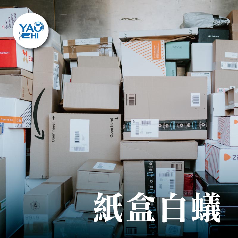台中滅白蟻 紙盒白蟻