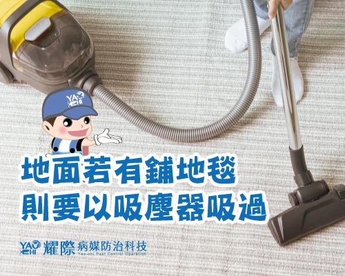 工廠有跳蚤 ! 野貓野狗引跳蚤01跳蚤防治後(地毯)