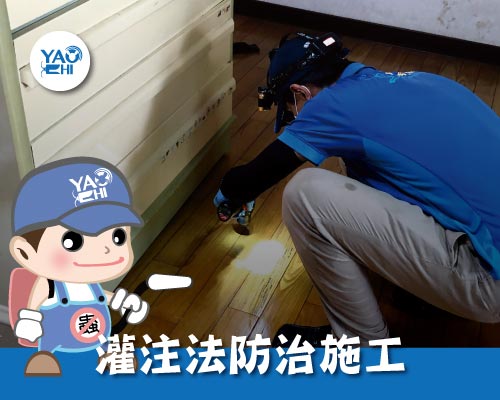 台北 公寓白蟻 防治案例(上)02木地板白蟻防治施工