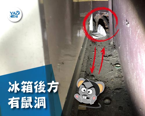 耀際 滅鼠 實例分享：冰箱後方鼠洞01冰箱後方有鼠洞