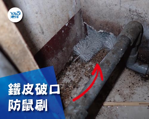 耀際 滅鼠 實例分享：冰箱後方鼠洞01鐵皮破洞防鼠刷