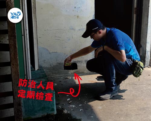 耀際 滅鼠 實例分享：冰箱後方鼠洞02簡易型鼠餌站