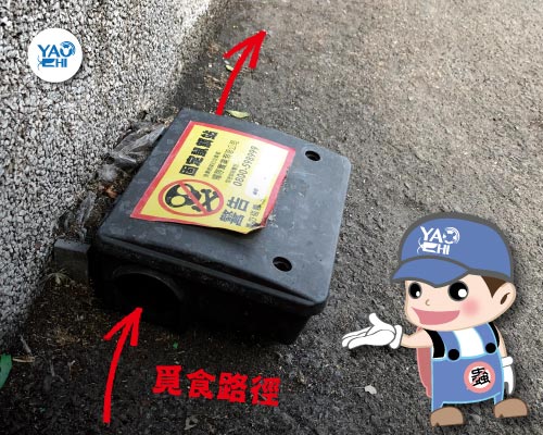 耀際 滅鼠 實例分享：冰箱後方鼠洞02鼠餌站作用