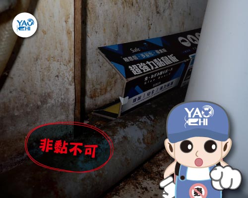 耀際 滅鼠 實例分享：冰箱後方鼠洞03黏鼠板超強運用