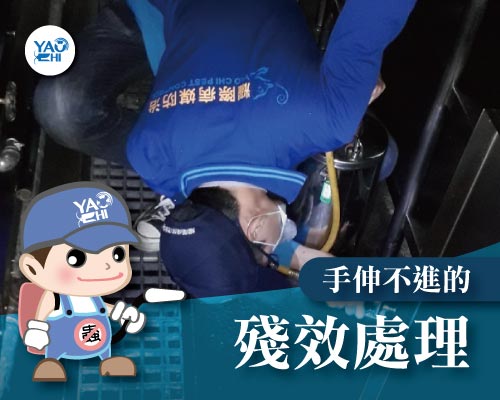 說到 蟑螂防治 -蟑螂防治之殘效處理