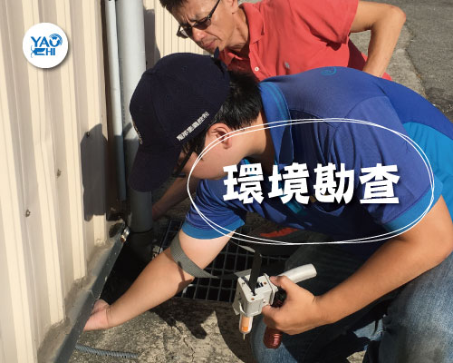 老鼠環境勘查