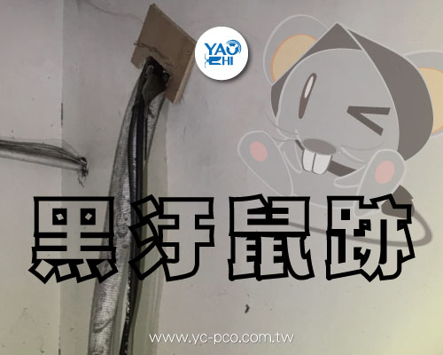 鼠跡鼠痕