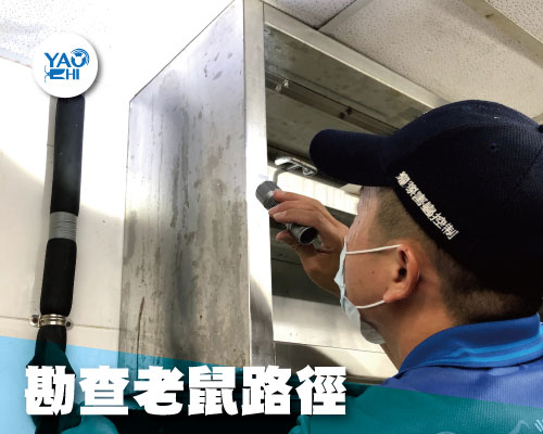 老鼠危害勘查-確認老鼠活動路徑