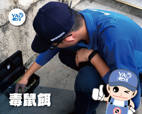 家裡有老鼠 ：鼠害的危害進程01毒鼠餌、老鼠藥