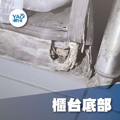 家裡有老鼠：鼠害的危害進程06老鼠在櫃檯底部做窩築巢