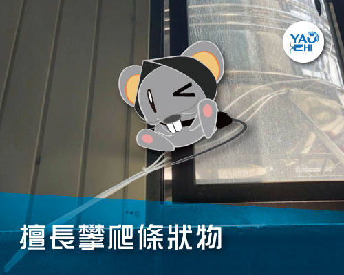 家裡有老鼠：鼠害的判斷與分析03屋頂鼠活動場域