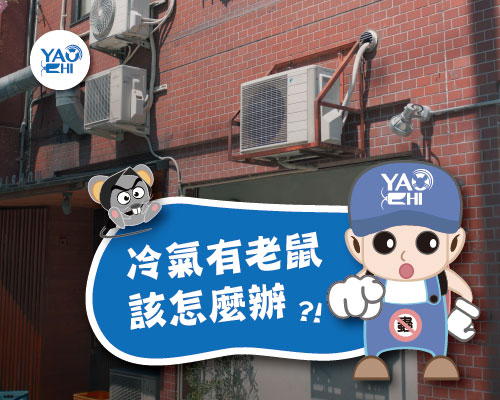 老鼠在冷氣機裡怎麼辦1
