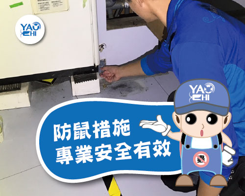 老鼠在冷氣機裡怎麼辦2