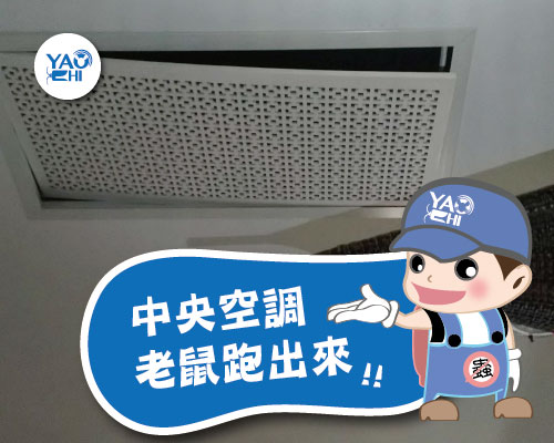 老鼠在冷氣機裡怎麼辦3