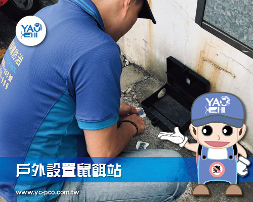 戶外設置鼠餌站