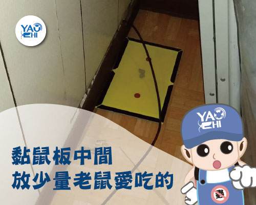 02住家滅鼠-黏鼠板-誘引