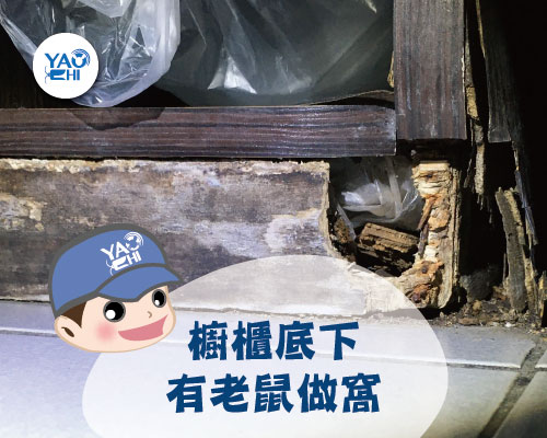 03老鼠洞-老鼠窩-櫃台-塑膠袋