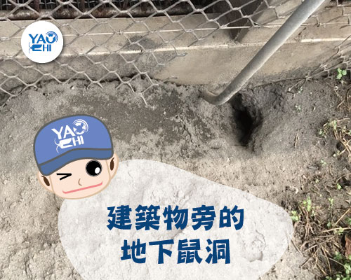 03老鼠洞位置-建築物-地基旁