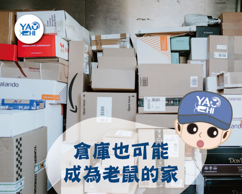 03老鼠窩位置-倉庫-紙箱
