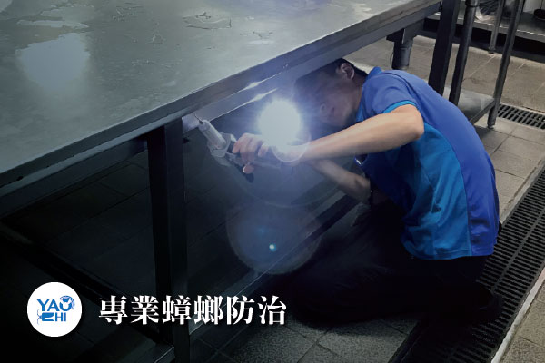 蟑螂防治介紹02 針對孳生源防治處理