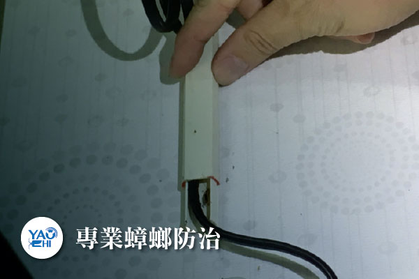 蟑螂防治介紹02 蟑螂滋生源調查