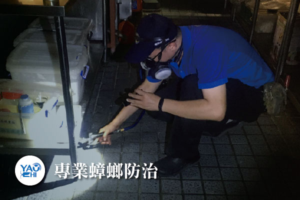 蟑螂防治介紹02 蟑螂防治 噴藥處理