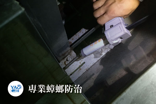 蟑螂防治介紹02 蟑螂防治 餌劑處理