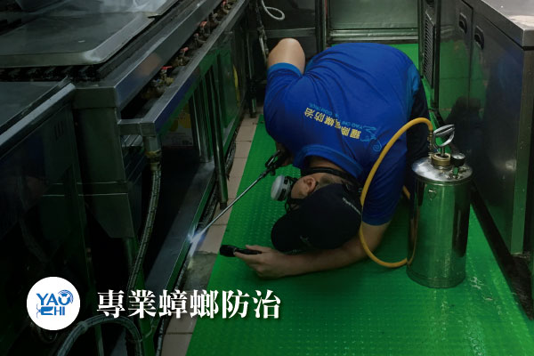 蟑螂防治介紹02 蟑螂防治 餐飲業蟑螂專家