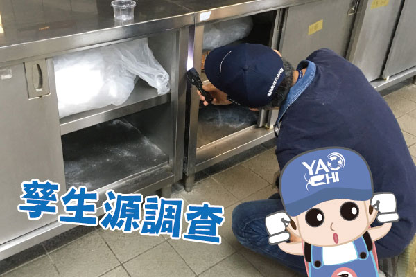 蟑螂防治介紹05 孳生源調查