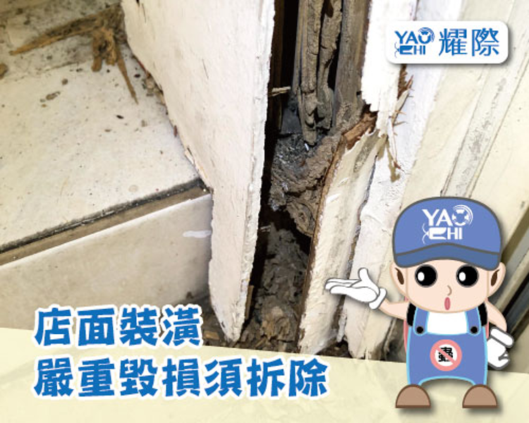 牆面裂痕、管線漏水的潮濕環境是白蟻常出沒的地方